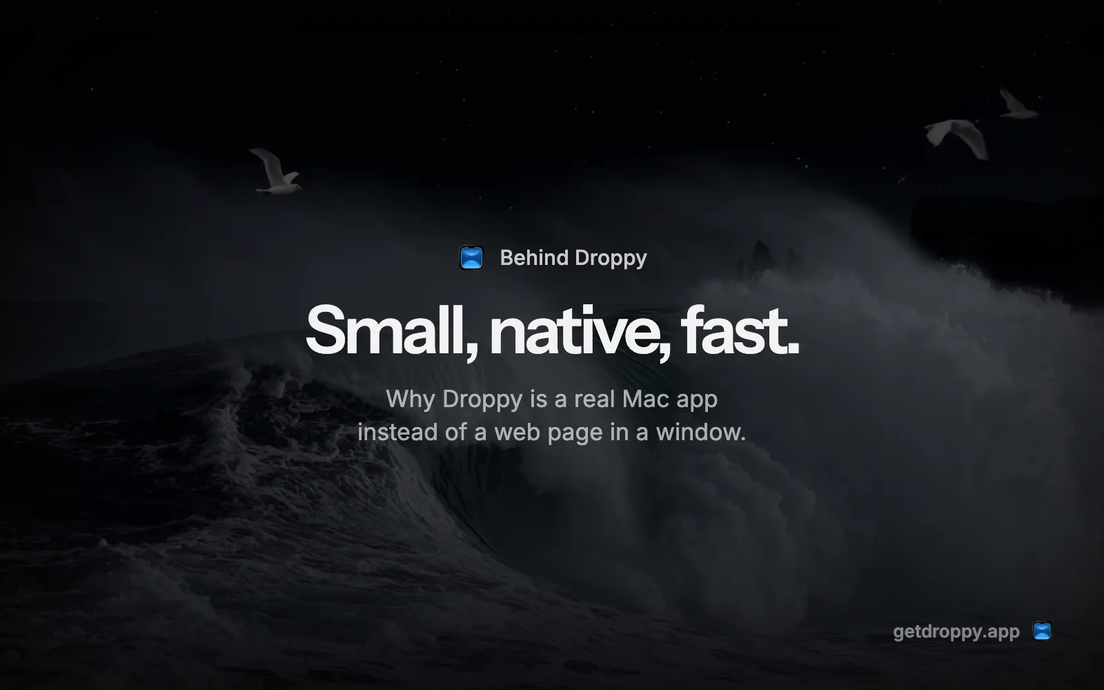 Editorial card reading Small, native, fast. over a dark ocean