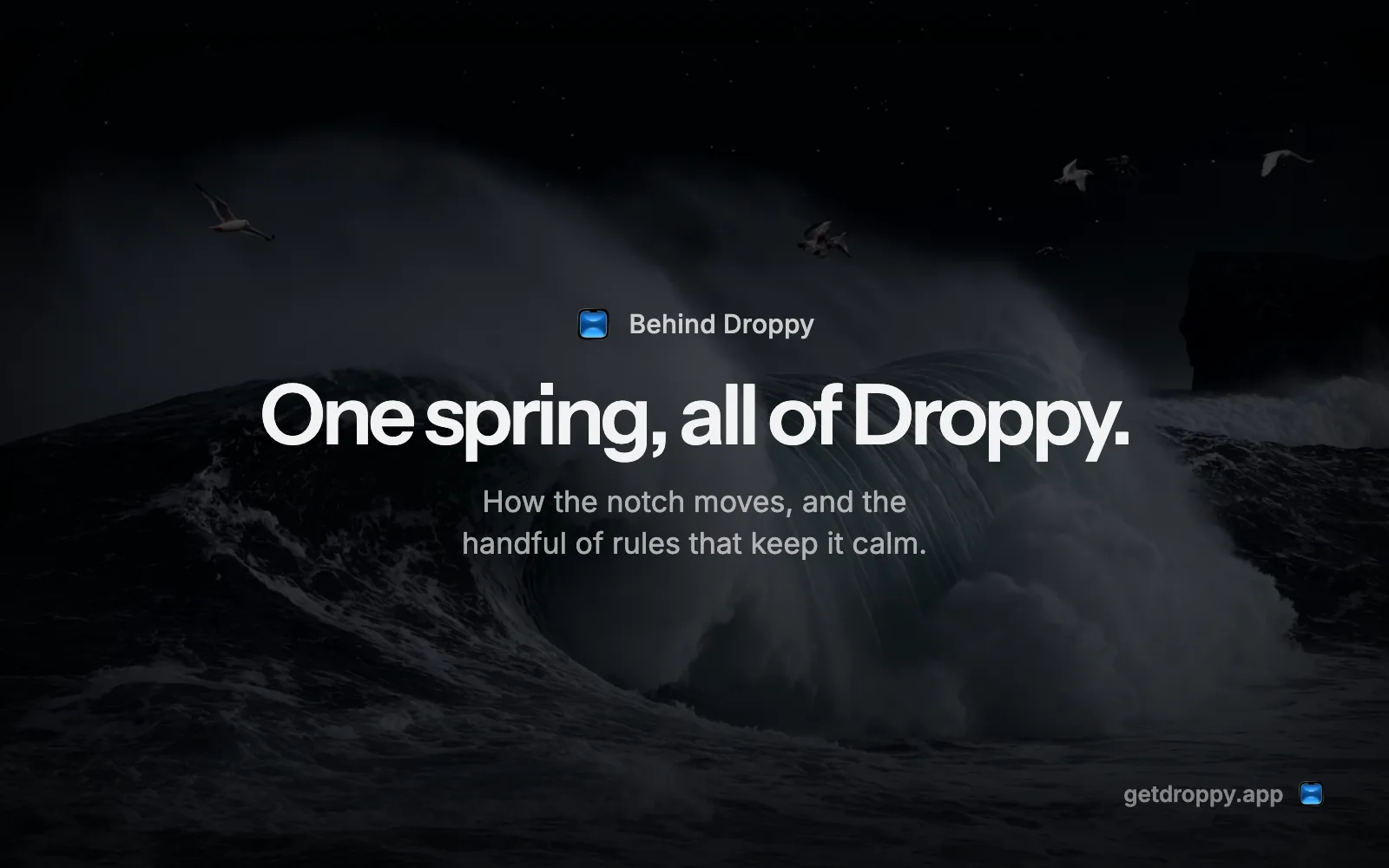 Editorial card reading One spring, all of Droppy. over a dark ocean