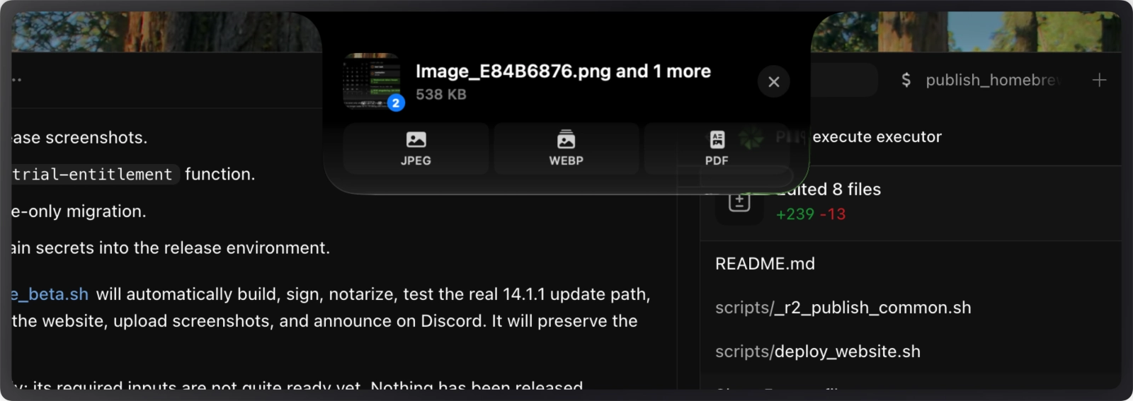Droppy Convert chooser for two selected files showing JPEG, WebP, and PDF output choices