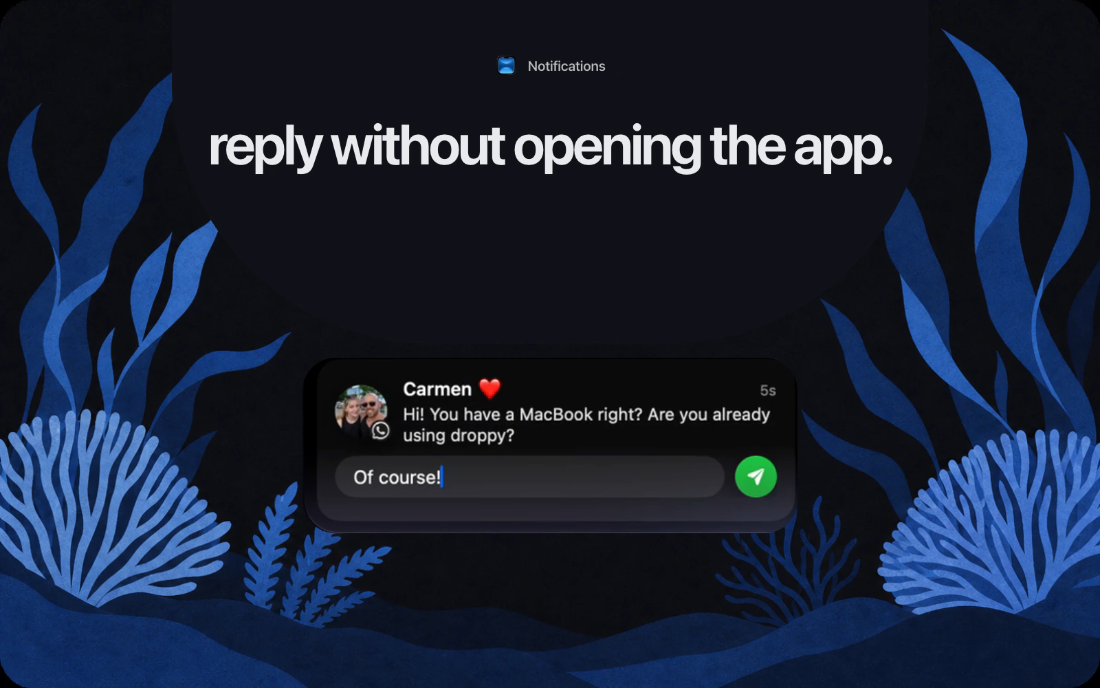 Flat editorial cover showing a WhatsApp reply field in Droppy's Notifications
